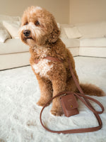 Dog Harness Leather Brown