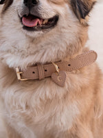Hondenhalsband Leer Beige