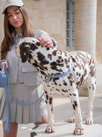 Arnés de cuero azul para perro