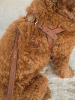 Dog Harness Leather Brown