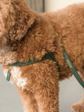 Dog Harness Leather Green