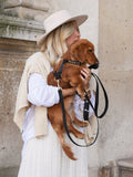 Laisse noire pour chien