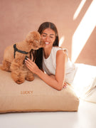 Coussin Chien Bouclé Marron Clair