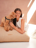 Coussin Chien Bouclé Marron Clair