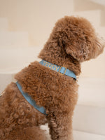 Dog Harness Blue