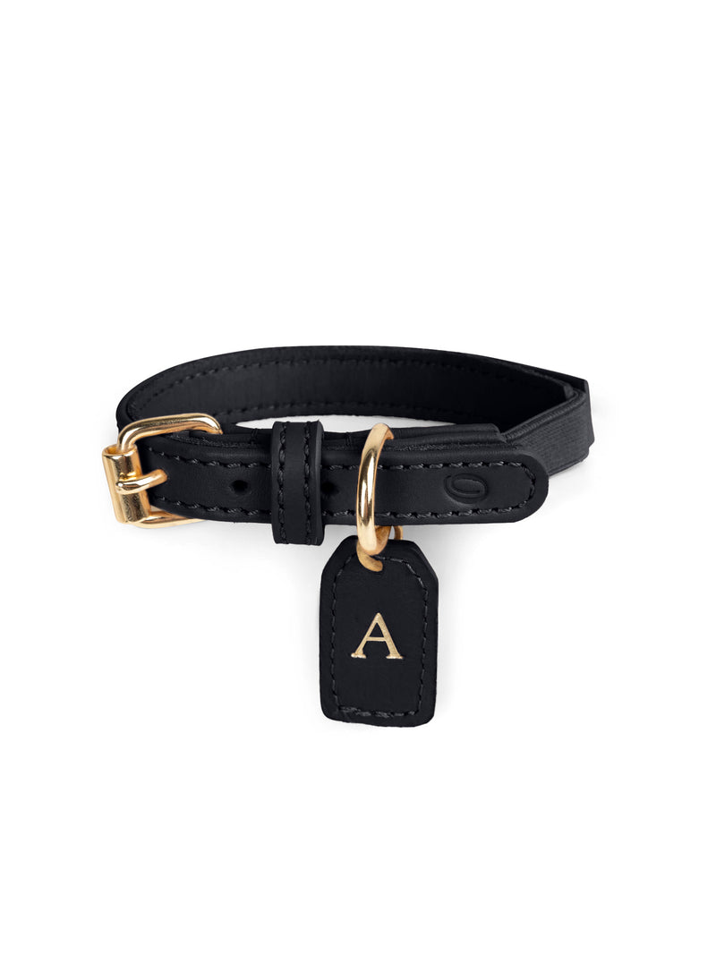 Collar de cuero negro para gato