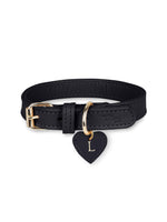 Collier en cuir noir pour chien