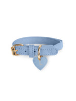 Collar de cuero azul para gato