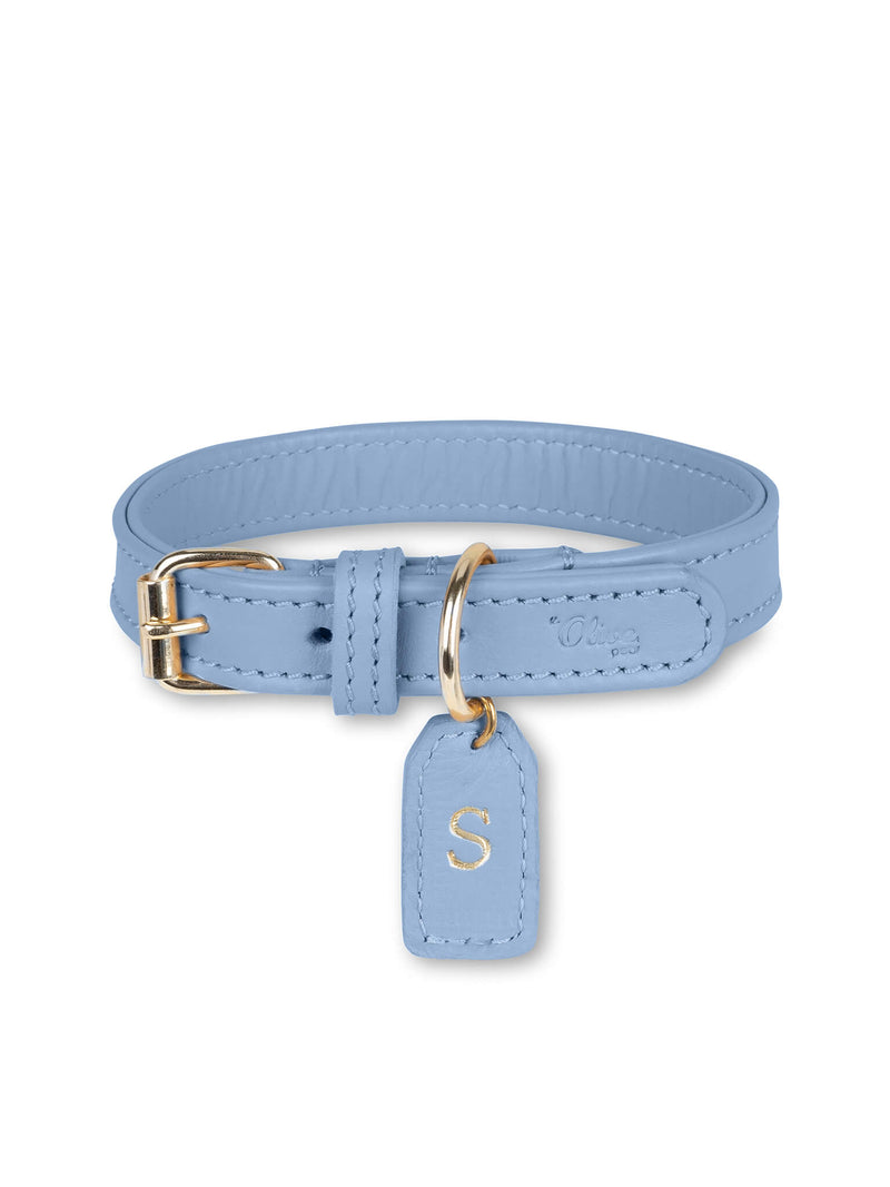Collier en cuir bleu pour chien