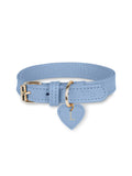 Collar de cuero azul para perro