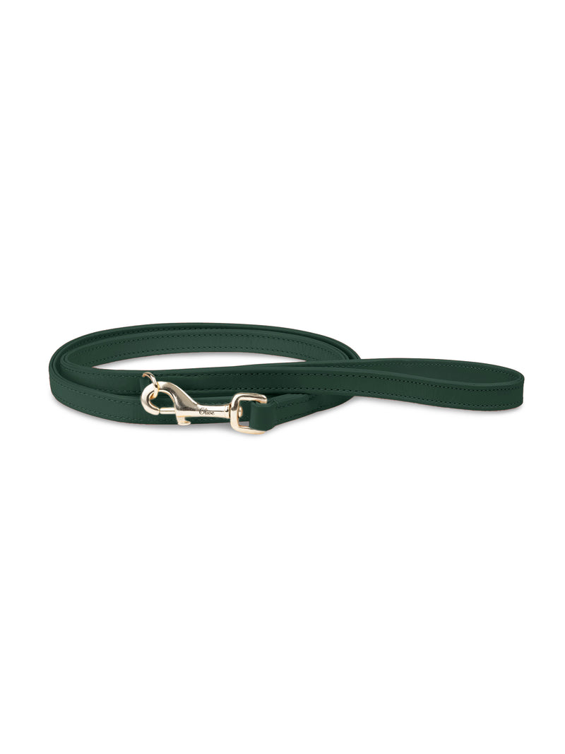 Correa de cuero verde para perro