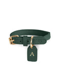 Collier pour chat en cuir vert