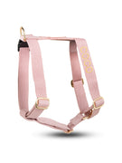 Hundegeschirr Pink