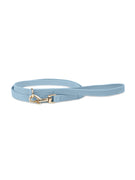 Dog Leash Blue