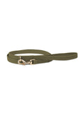 Dog Leash Green