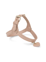 Harnais en cuir beige pour chien