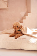 Hundekissen Teddy Creme
