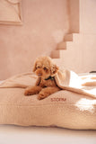 Cojín Perro Teddy Beige