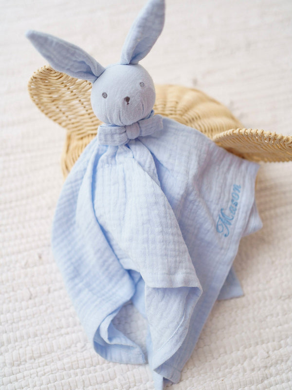 Hydrophilic Cuddle Cloth Rabbit Baby Blue