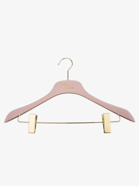 Clothing Hanger with Clips
