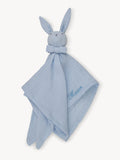 Hydrophilic Cuddle Cloth Rabbit Baby Blue