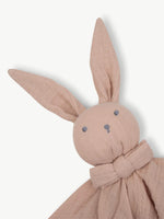 Hydrophilic Cuddle Cloth Bunny Mocca